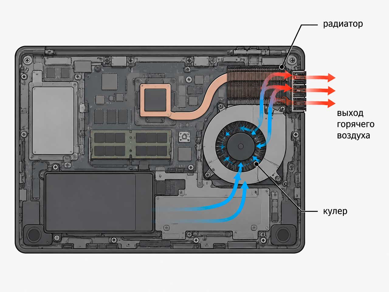 Схема воздушного потока системы охлаждения ноутбука Asus